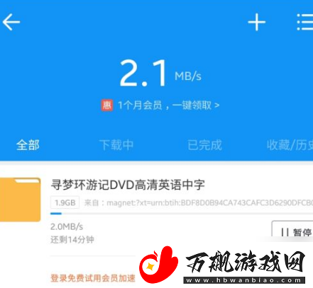 磁力猫磁力搜索引擎