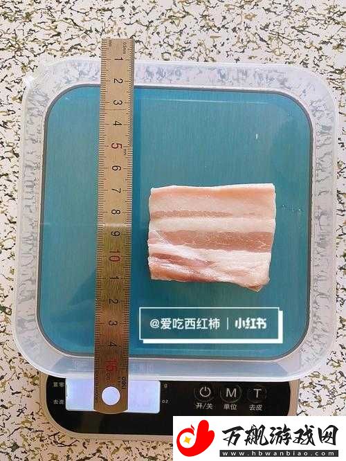 傅先生和傅太太一块五花肉