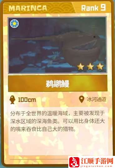 潜水员戴夫鹈鹕鳗在哪里 潜水员戴夫鹈鹕鳗位置