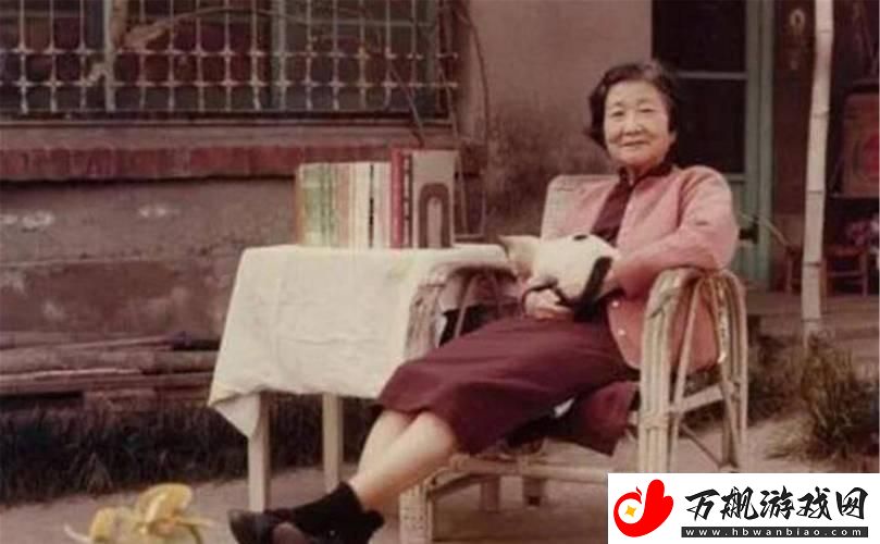 六十祖母新星崛起：科技界的搞笑老干妈
