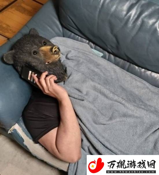 每日私密马赛