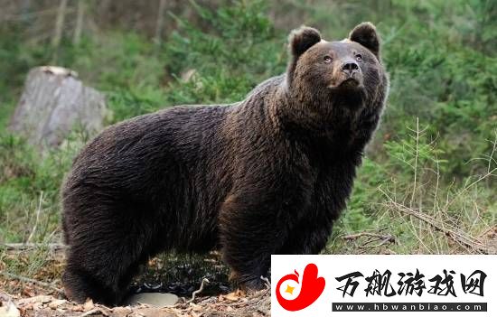 每日私密马赛