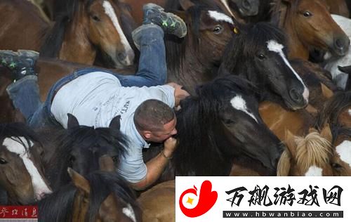 科技界“人马共性”奇观：记录不是用来打破的-是用来飞的！