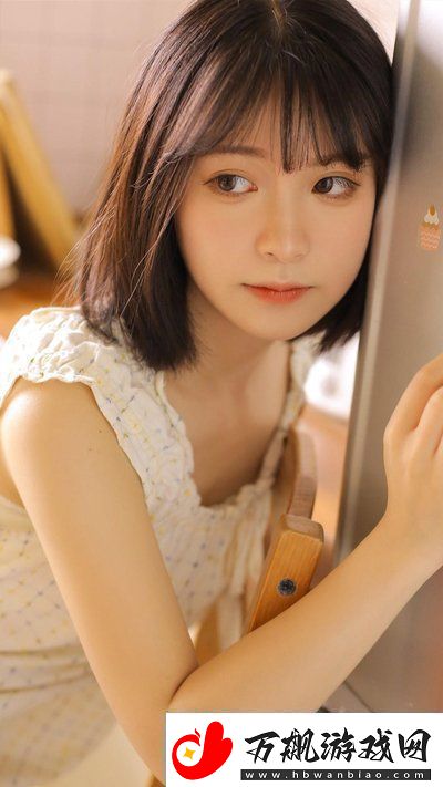 日本免费三色电费2024年