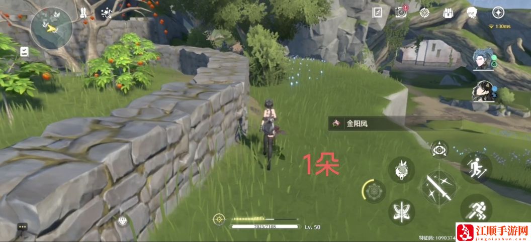 《鸣潮》金阳凤采集路线汇总