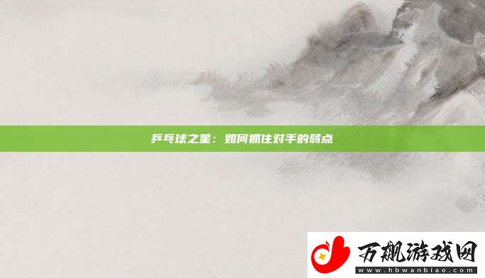 乒乓球之星