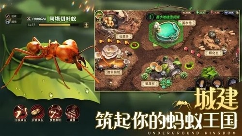 小小蚁国礼包码在哪里领取2023还能用的 小小蚁国最新5个隐藏礼包码限时领取