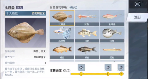 和平精英钓鱼图鉴在哪个地方看 和平精英钓鱼图鉴查看位置一览