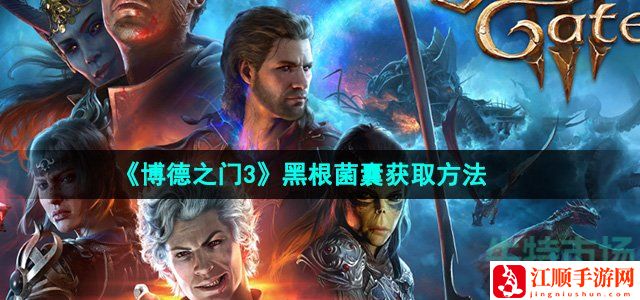 博德之门3黑根菌囊获取方法-攻略助你技能进阶