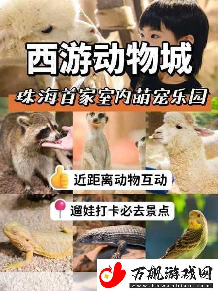 天谕手游探索指南
