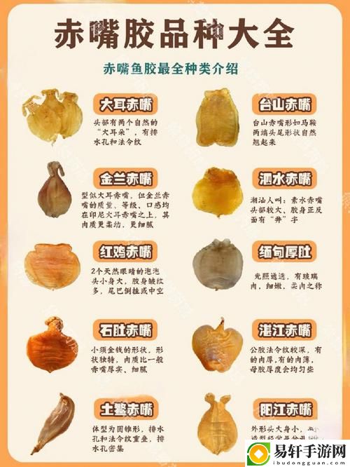 欧美人和禽类胶配方大全