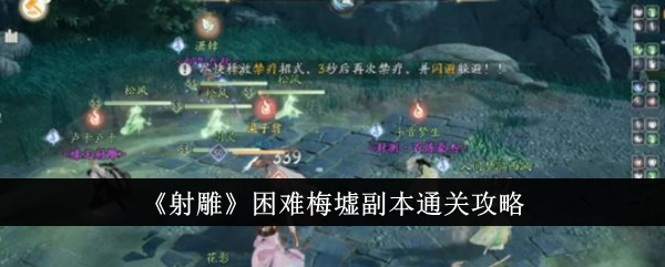 射雕困难梅墟副本通关攻略-射雕困难梅墟副本怎么通关