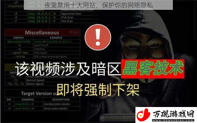 夜里禁用十大网站-保护你的网络隐私