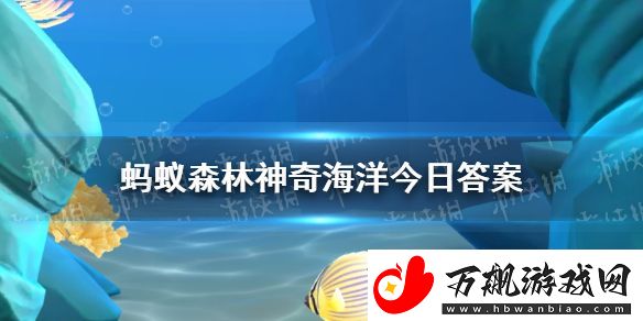 以下哪种螃蟹个头非常小可以寄生在贝类的体内