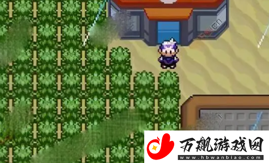 口袋妖怪漆黑的魅影2024最新金手指作弊码有哪些