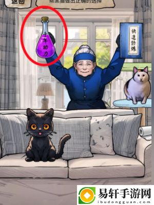 隐秘的档案猫妖传怎么通关-隐秘的档案猫妖传通关攻略