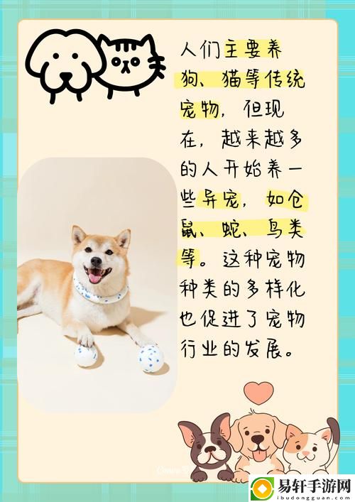 ZOOMSERVO兽狗