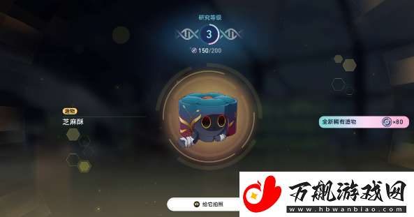 崩坏星穹铁道1.6异宠拾遗照顾任务怎么完成