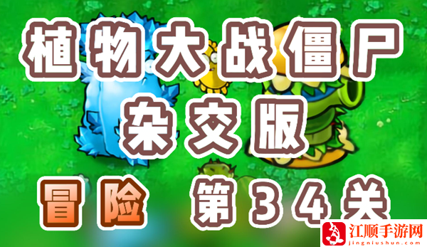 植物大战僵尸杂交版冒险34关怎么过：完美副本通关方法