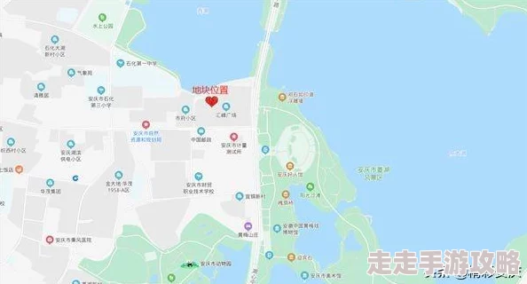 高清粉嫩无套内谢2020：最新进展揭示了行业动态与市场反应吸引了众多关注与讨论