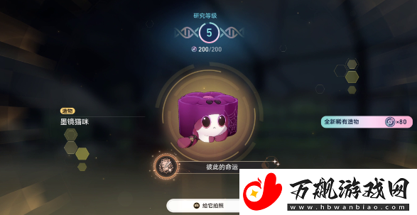 崩坏星穹铁道1.6异宠拾遗团聚任务怎么做