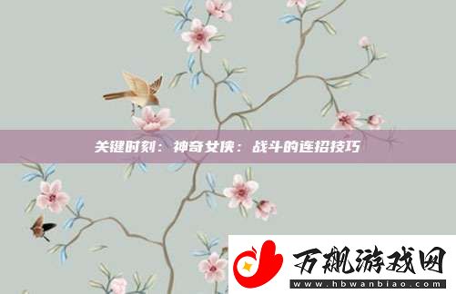 关键时刻：神奇女侠：战斗的连招技巧