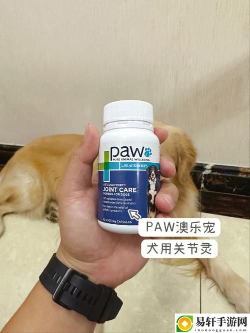 狗和人胶配方20分钟使用技巧