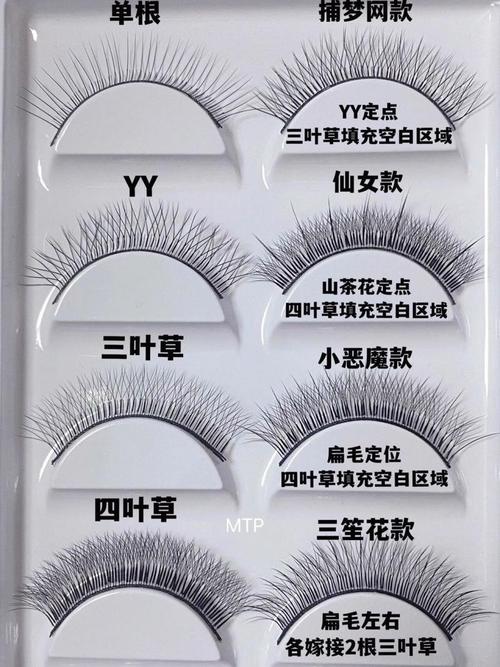 成品人精品人的区别四叶草：探寻人生的不同追求