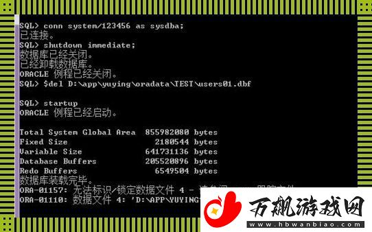 Oracle备份与恢复：如同驯兽师的绝技