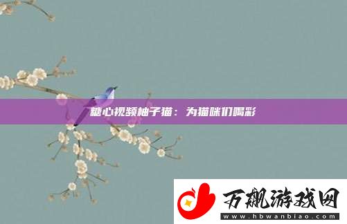 糖心视频柚子猫：为猫咪们喝彩