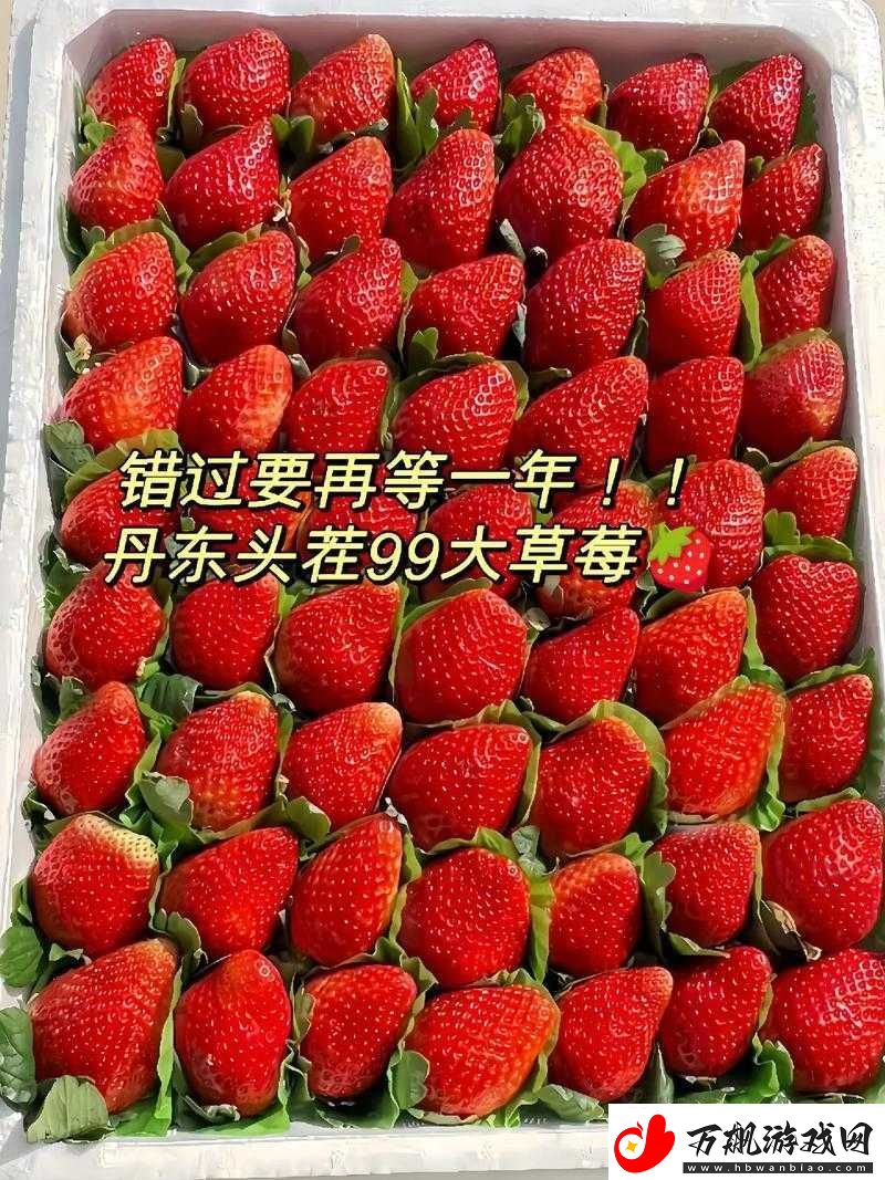 久久草莓还是九九草莓：哪种更香甜