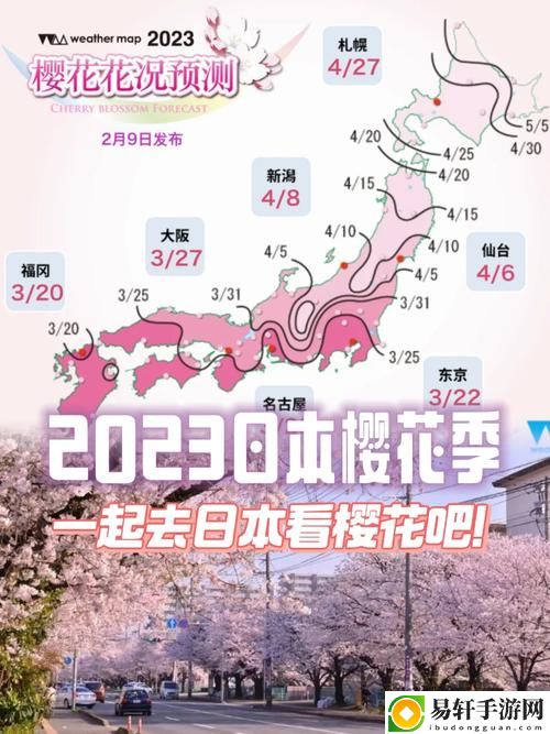 樱花官网官方入门网站2023
