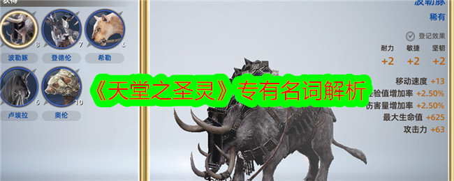 天堂之圣灵专有名词解析-天堂之圣灵专有名词攻略