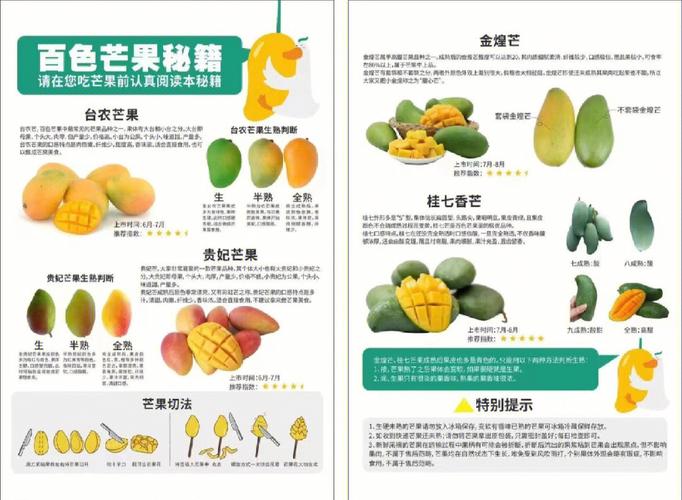 亚 VA 芒果乱码一二三四区别