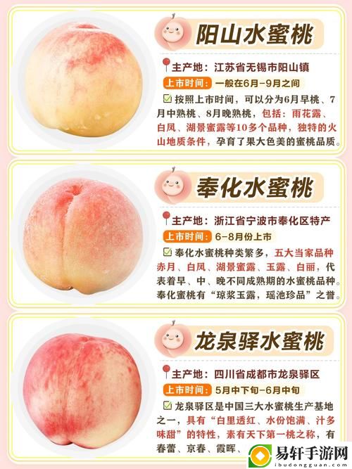 蜜桃国精产品二三三区