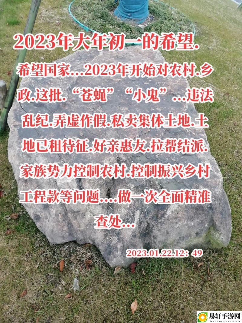 农村人乱弄一区二区的处罚方式