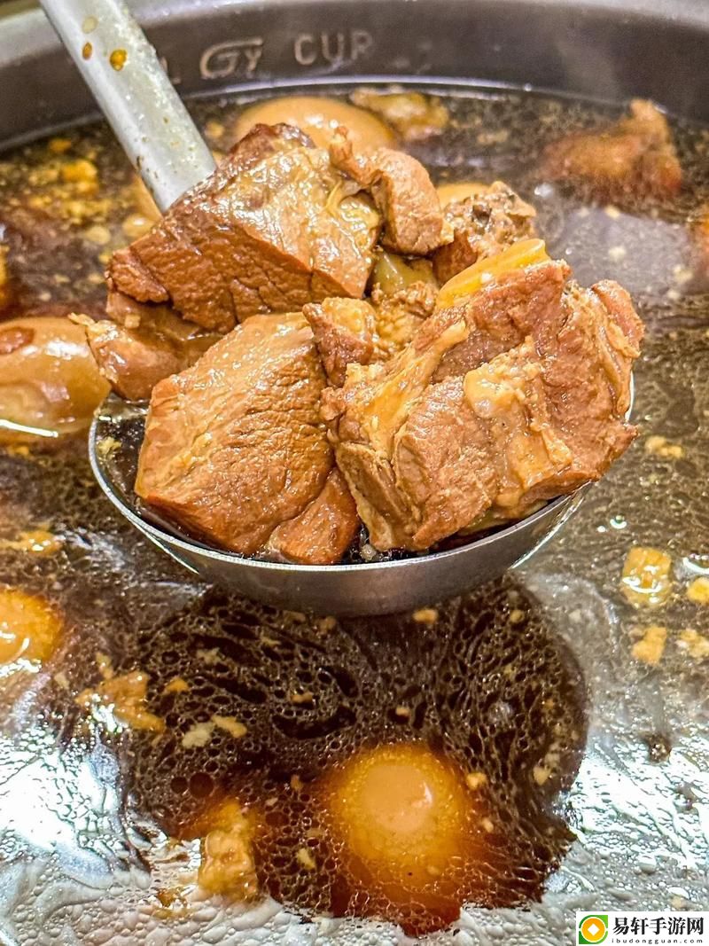炖肉日常hnp