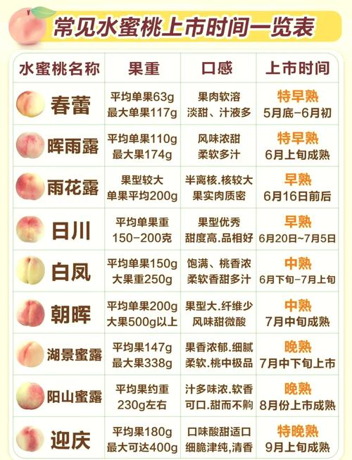 蜜桃国精产品二三三区
