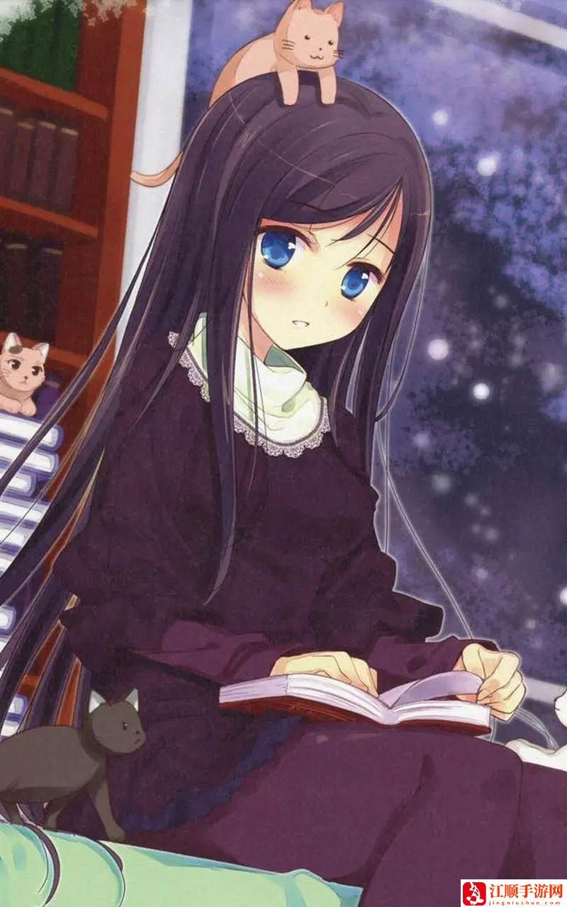 91免费版