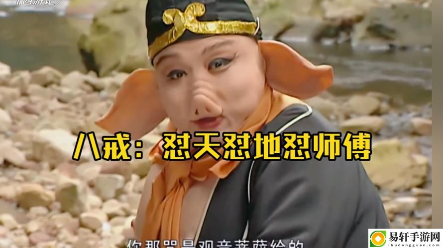 96533电视免费观看全部八戒