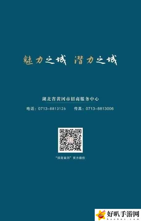 国外黄冈站推广