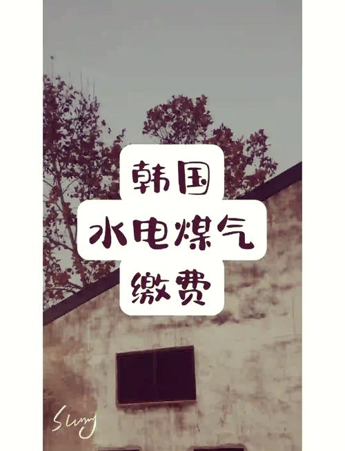 韩国三色电费免费吗