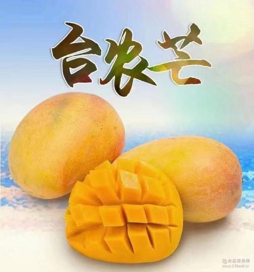 亚VA芒果乱码一二三四区别