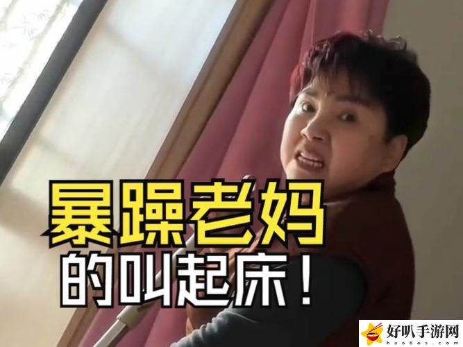 暴躁老妈高清免费观看电视剧