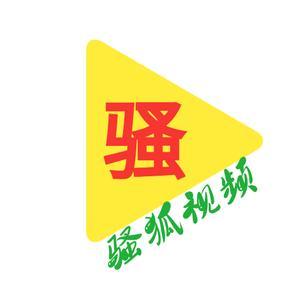 骚狐视频