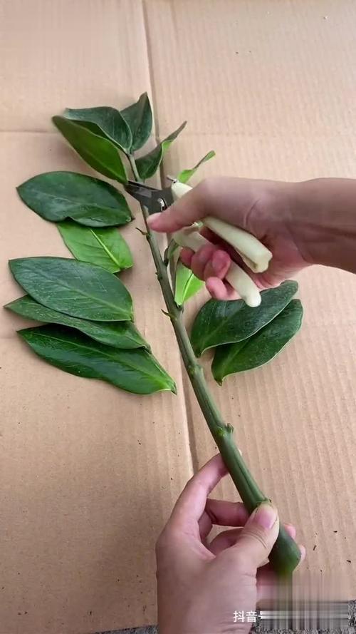 女性坐着扦插BB的多重好处