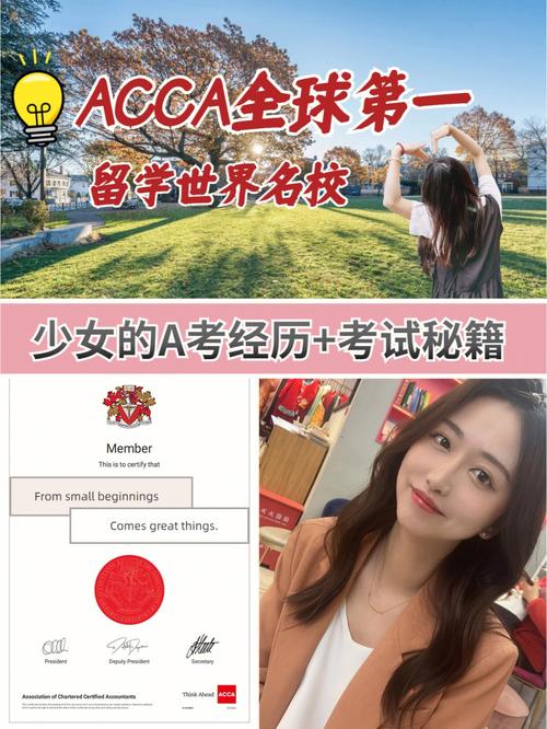 ACCA少女课韩国