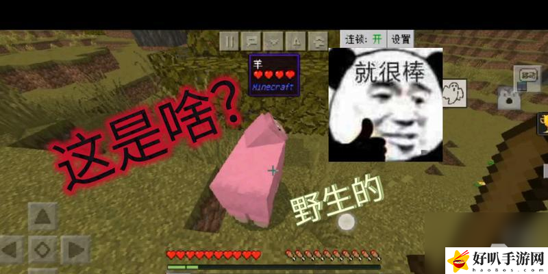 羊过来经的右半边是什么字__过来用羊语怎么说