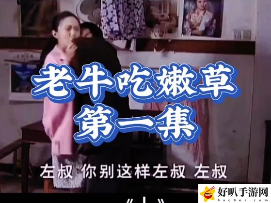 老牛影视免费观看电视剧优点