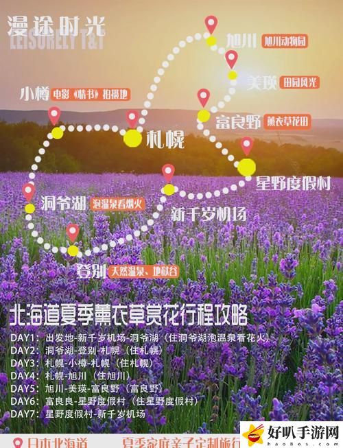 薰衣草研究所免费进入在线
